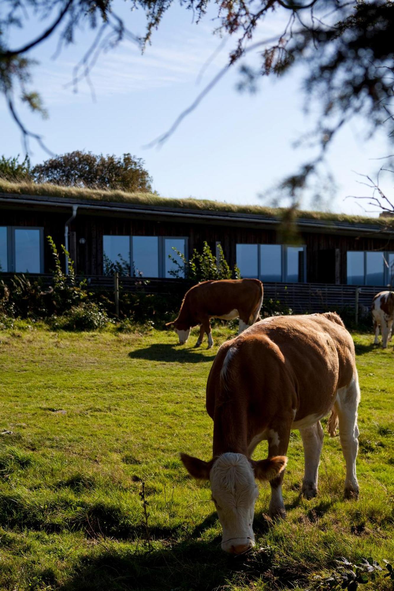 Hotell Och Restaurang Hovs Hallar Båstad Kültér fotó